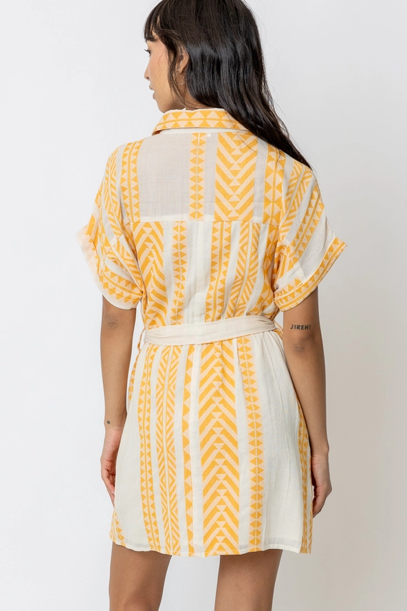 Lemon Yellow Embroidered Mini Sundress dress